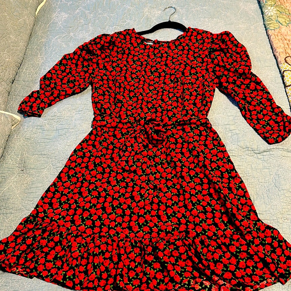 NWOT Topshop long sleeve rose print Dress